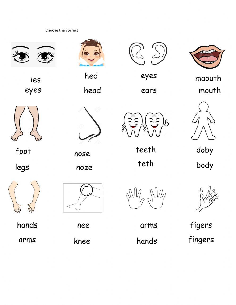 Body parts dictation