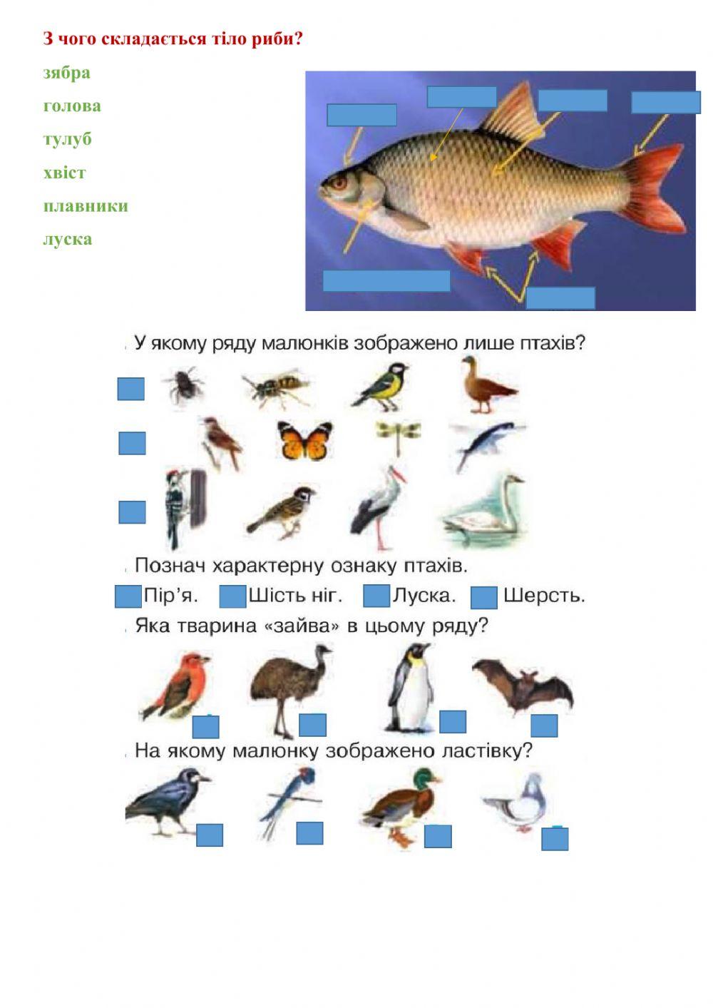 Світ, який мене оточує