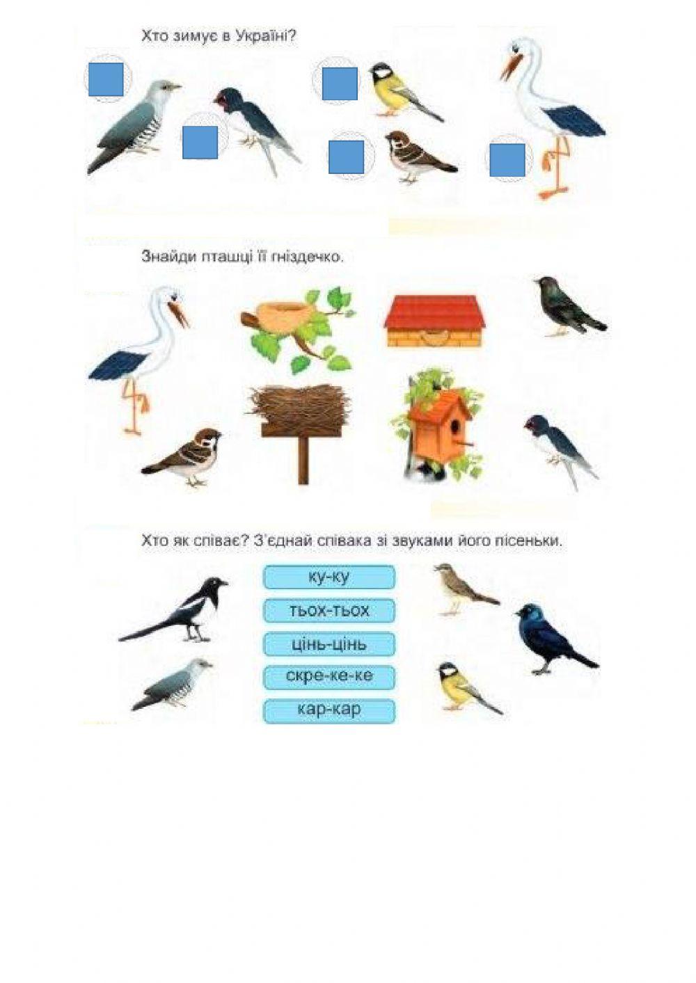 Світ, який мене оточує