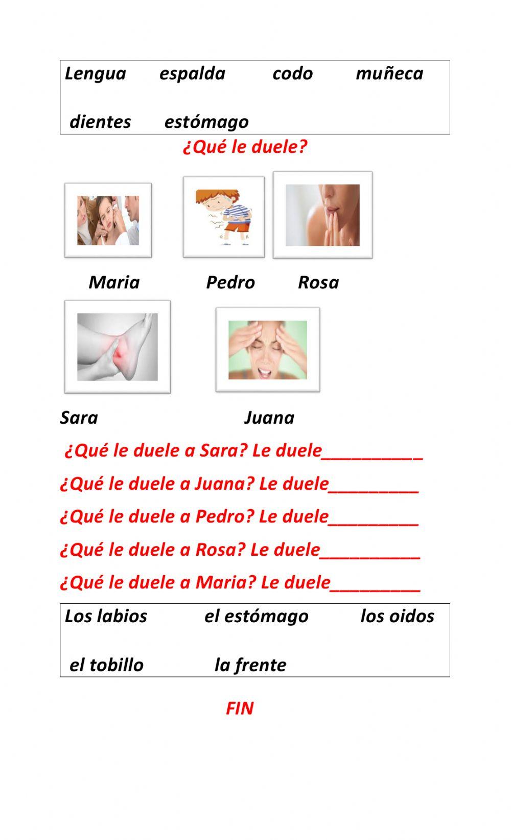 Las Partes del Cuerpo