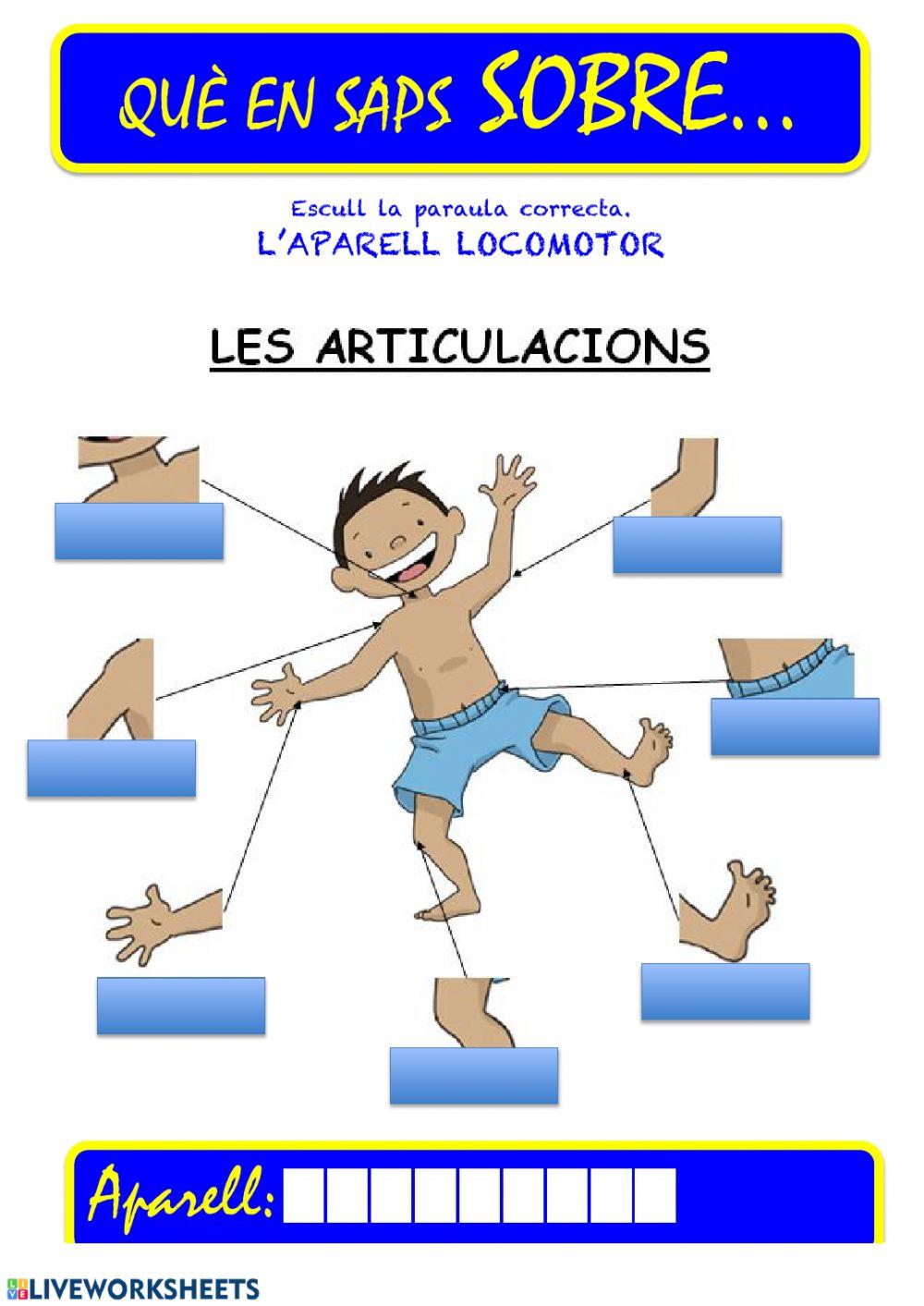 Aparell locomotor