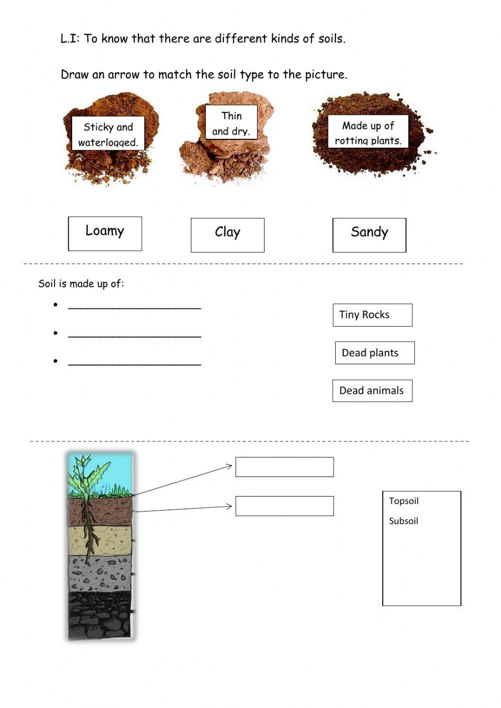 soil profile for kids