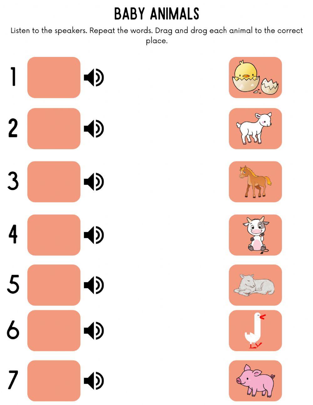 Animal babies Animal babies