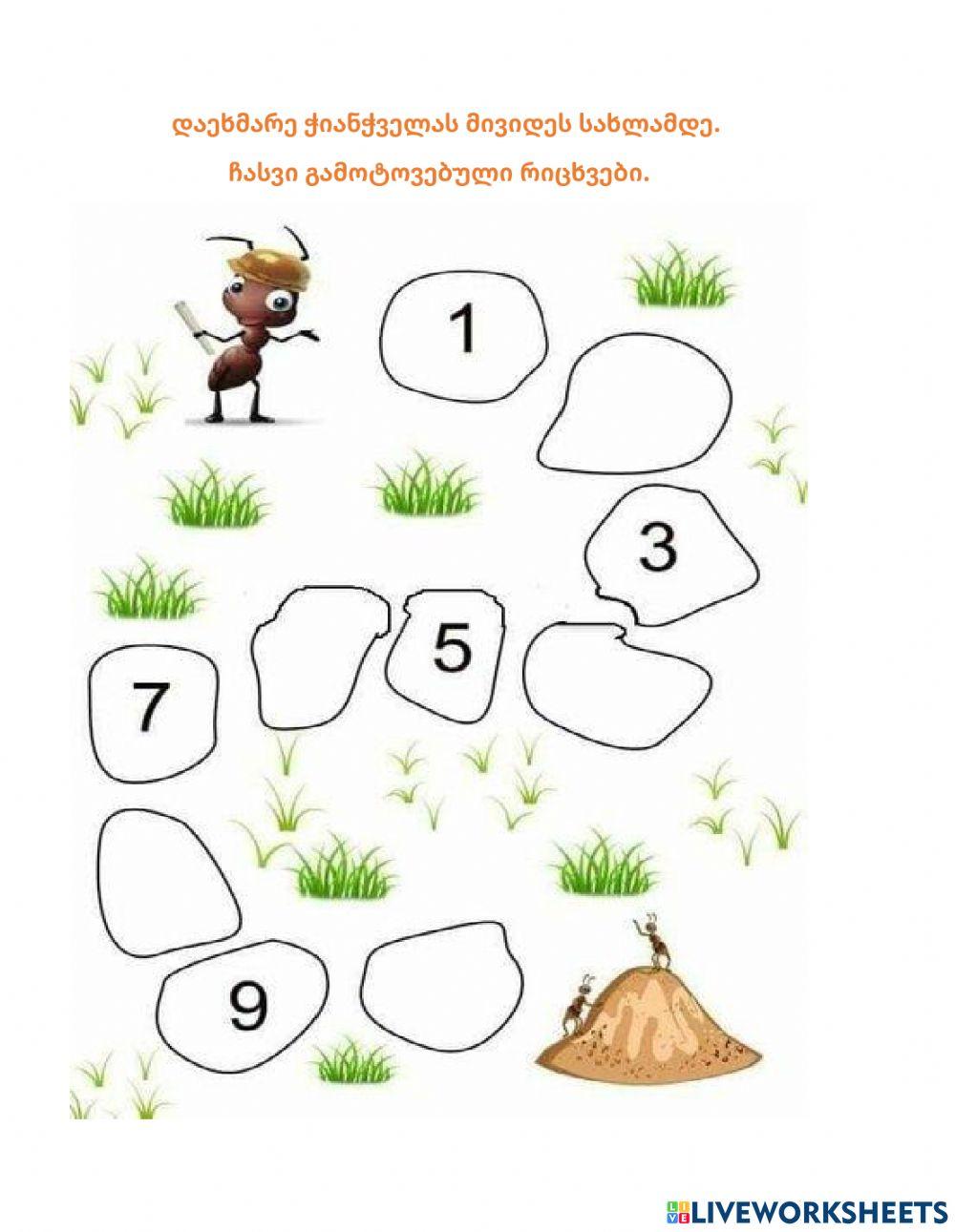 Მათემატიკა