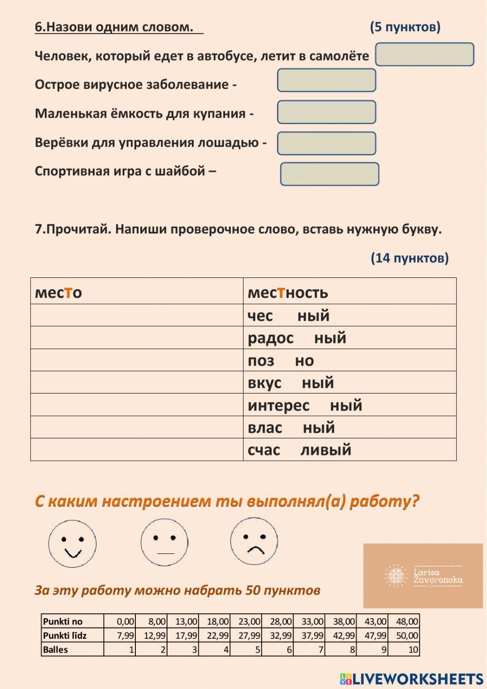Проверочная работа по русскому языку