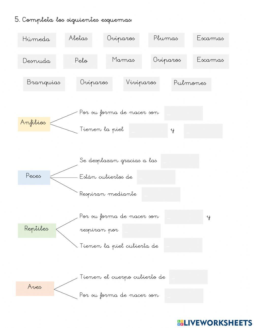 ¡Así son los animales!