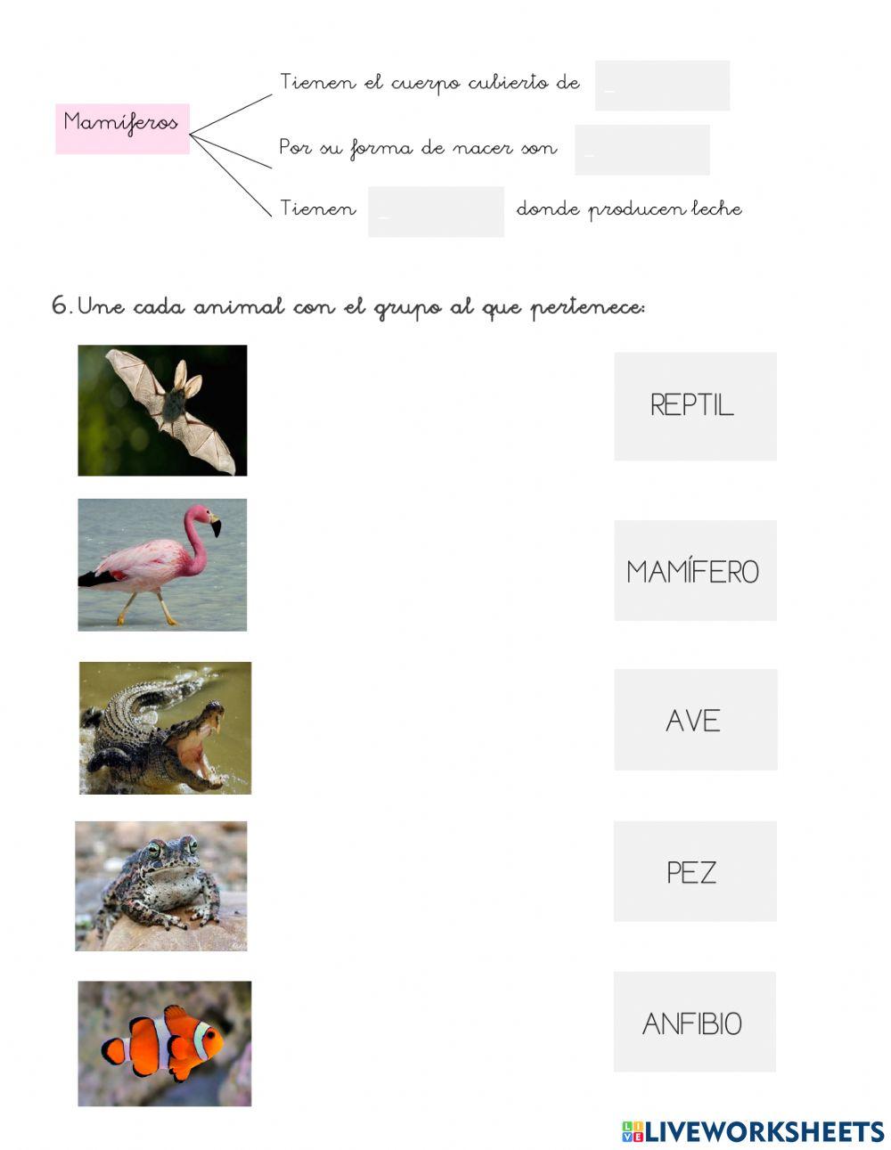 ¡Así son los animales!