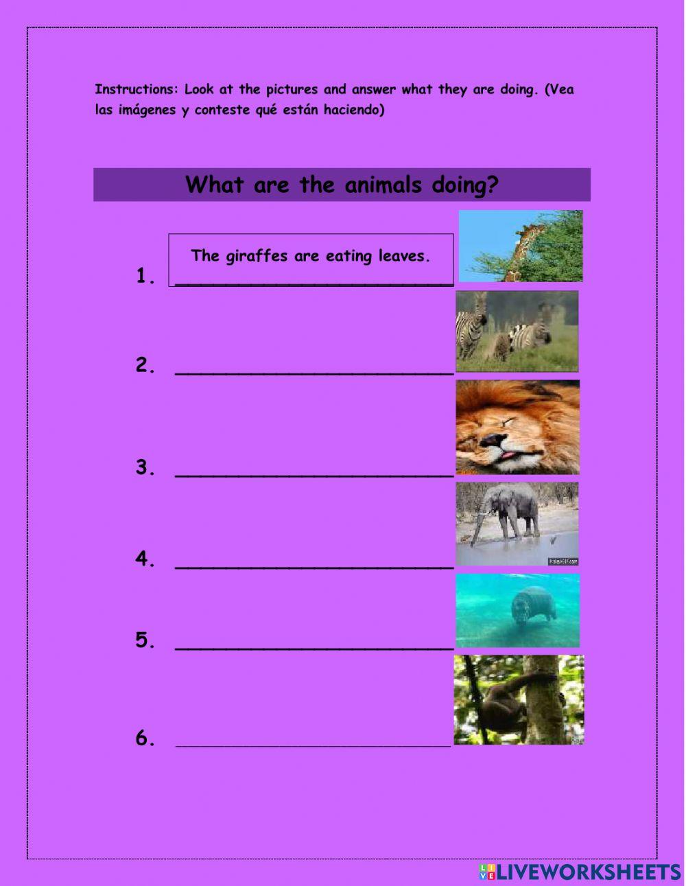 Can-can-t present continuous