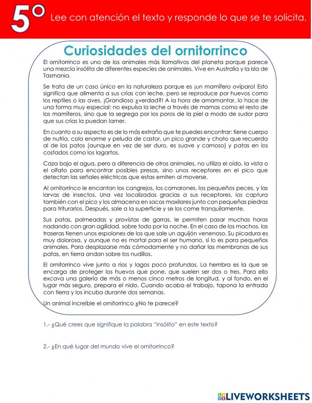 Comprensión lectora 5°