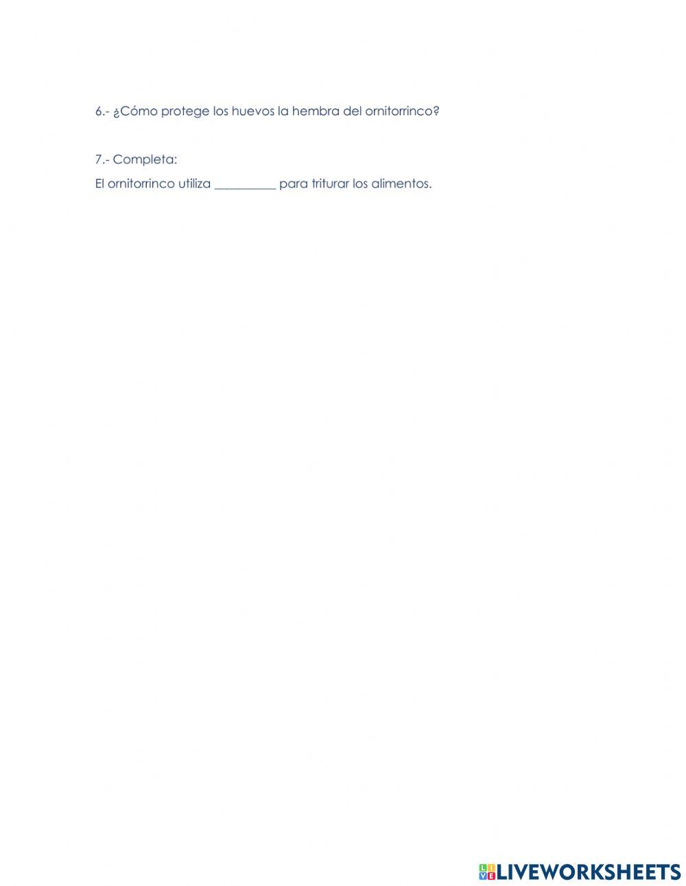 Comprensión lectora 5°