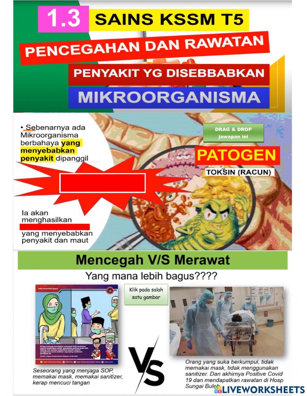 1.3 Pencegahan dan rawatan penyakit yang disebabkan oleh mikroorganisma