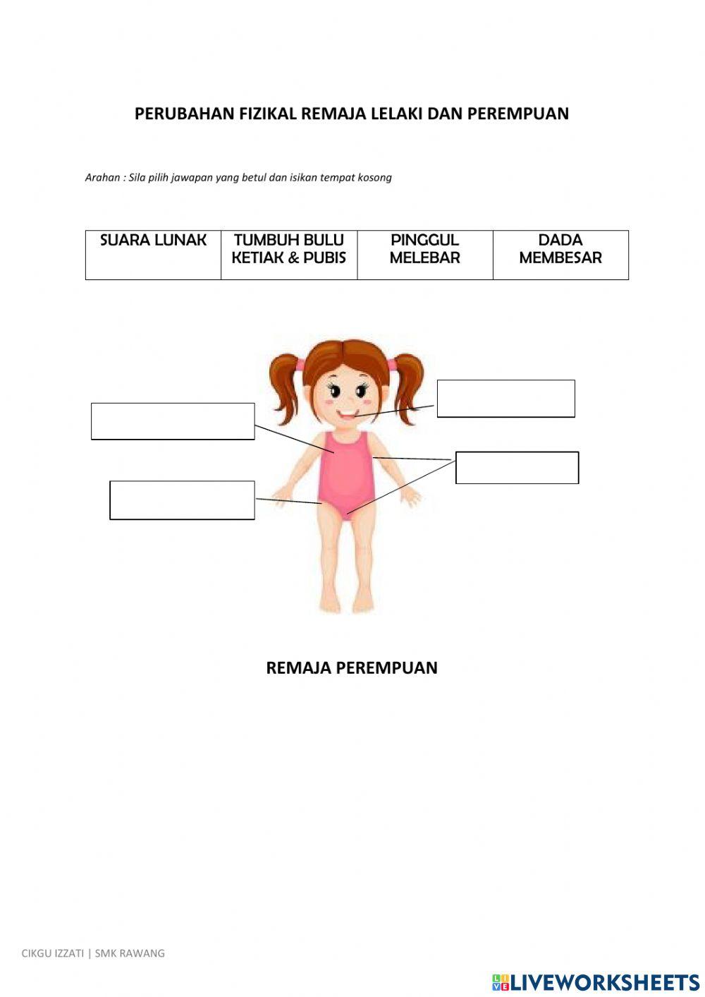 Pendidikan kesihatan reproduktif dan sosial (peers) perubahan ke arah kedewasaan