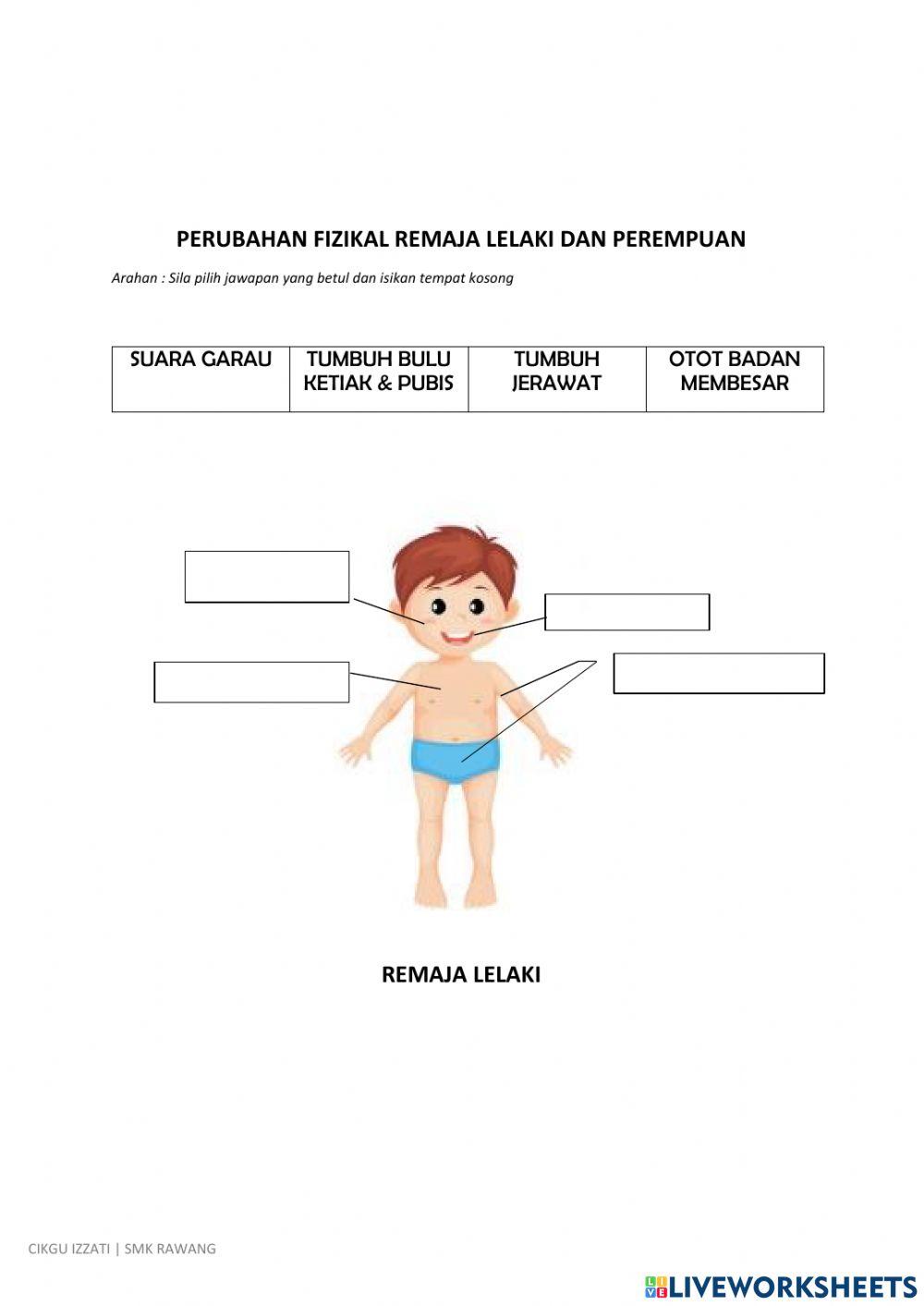 Pendidikan kesihatan reproduktif dan sosial (peers) perubahan ke arah kedewasaan