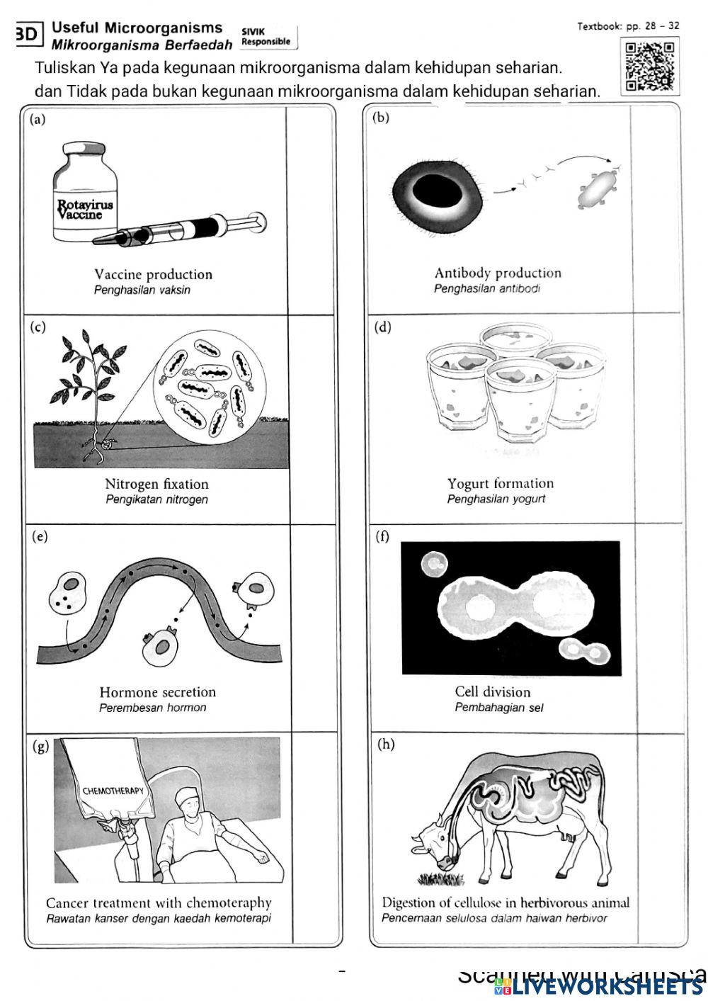1.1 Dunia Mikroorganisma (1)