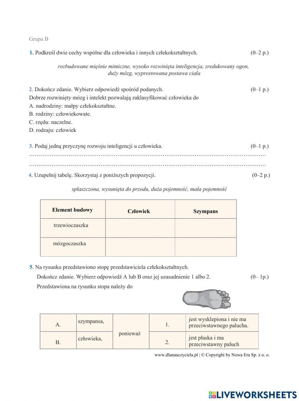 Pochodzenie człowieka