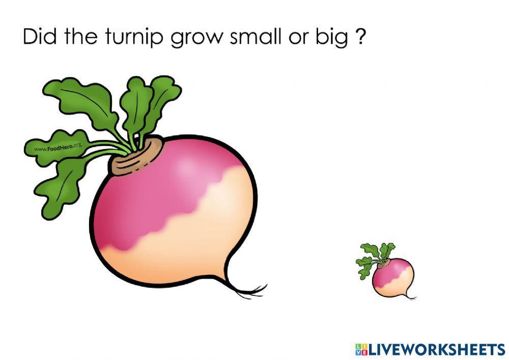 The enormous turnip
