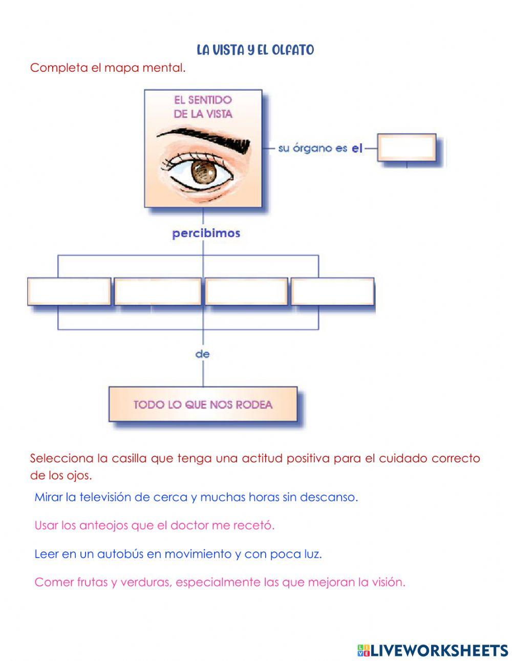 La vista y el olfato
