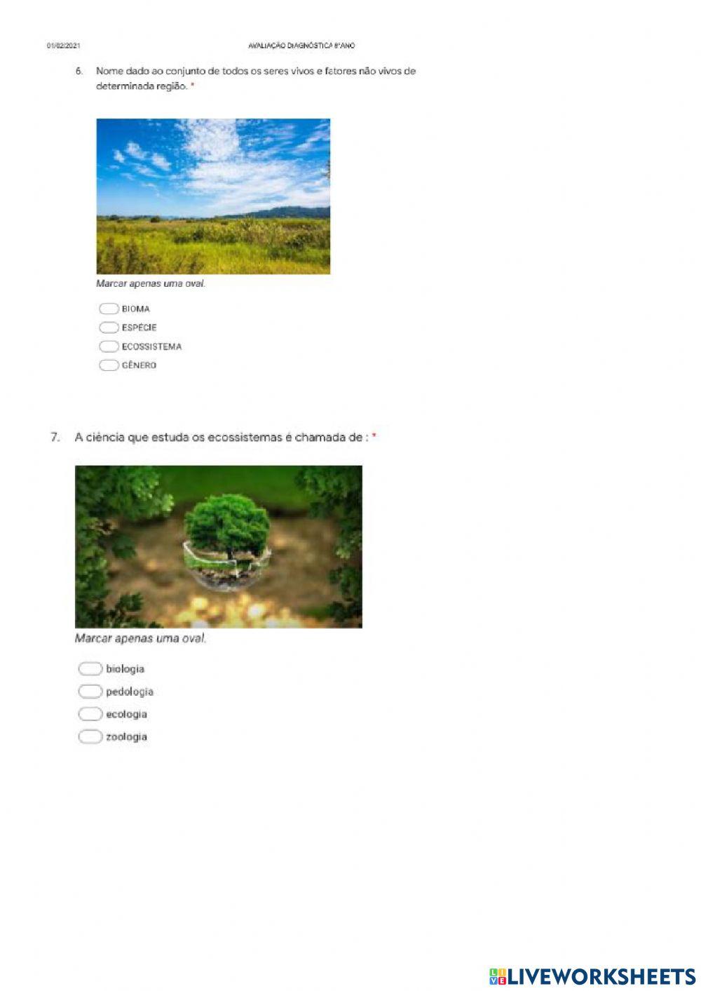 Avaliação de ciências 8 ano