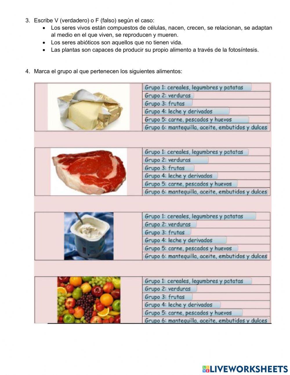 Actividad diagnostica grado 4