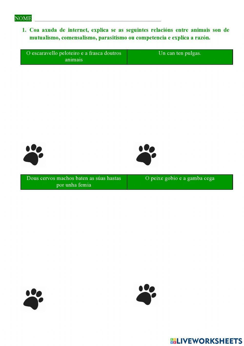 Adiviña as relacións!