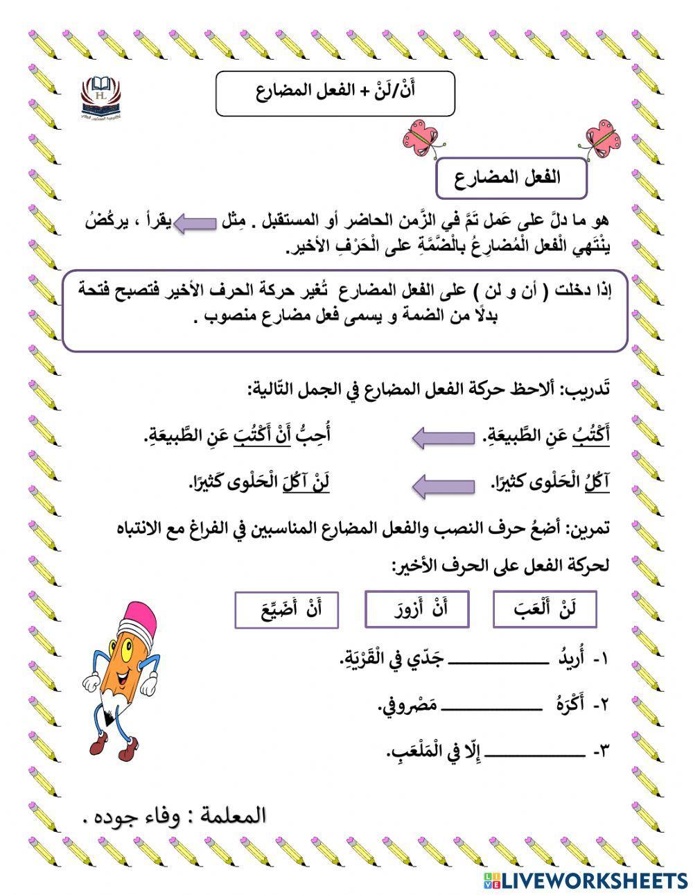 أن ولن + الفعل المضارع