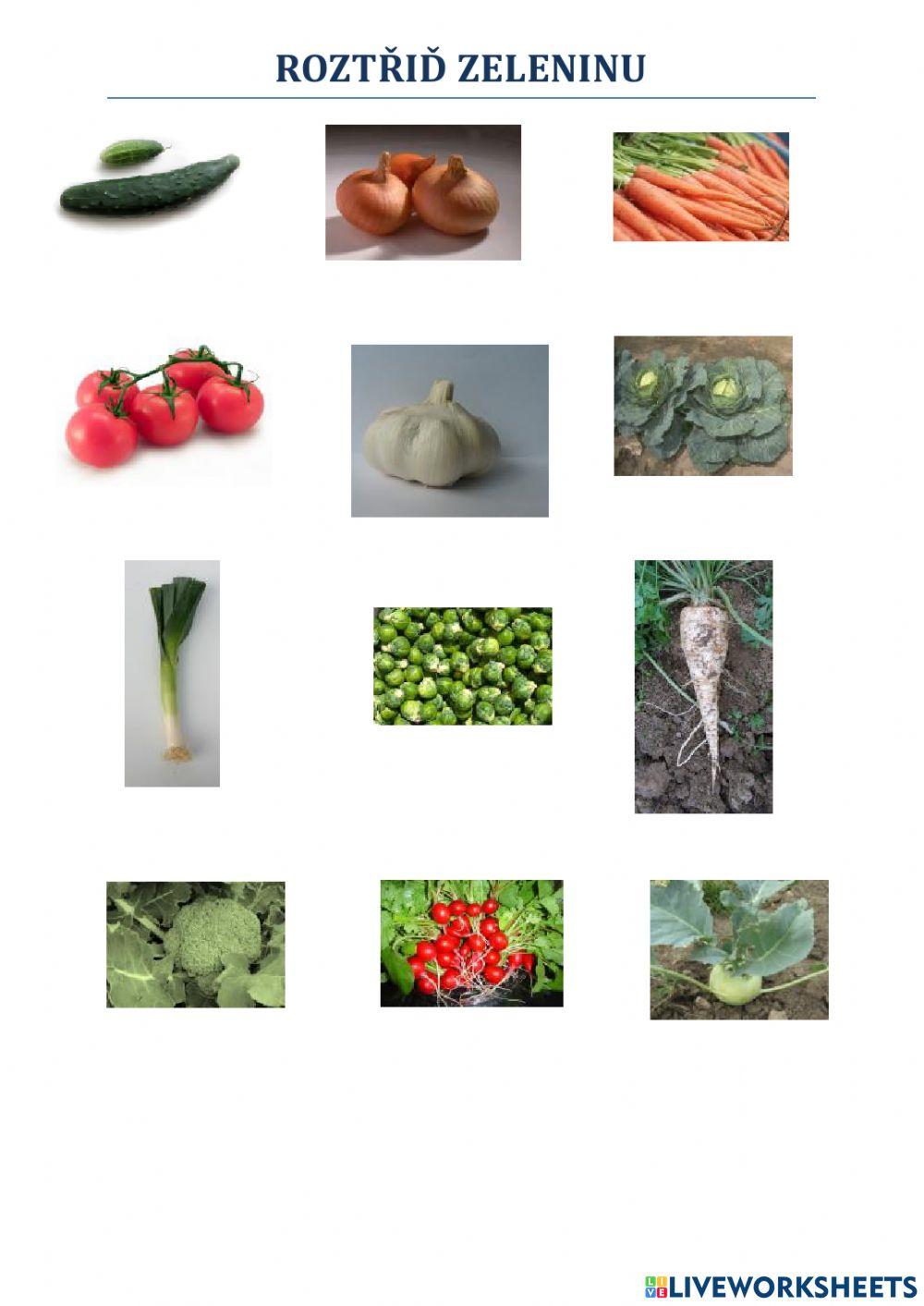 Zelenina