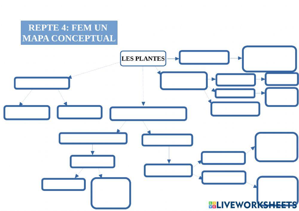 Mapa conceptual les plantes