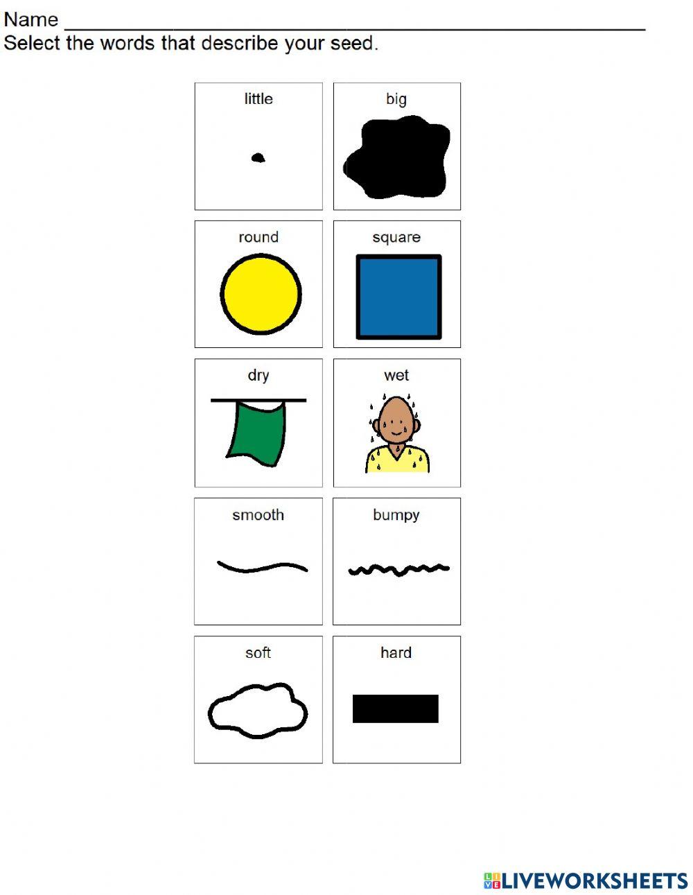 Lima Bean Experiment worksheet Live Worksheets