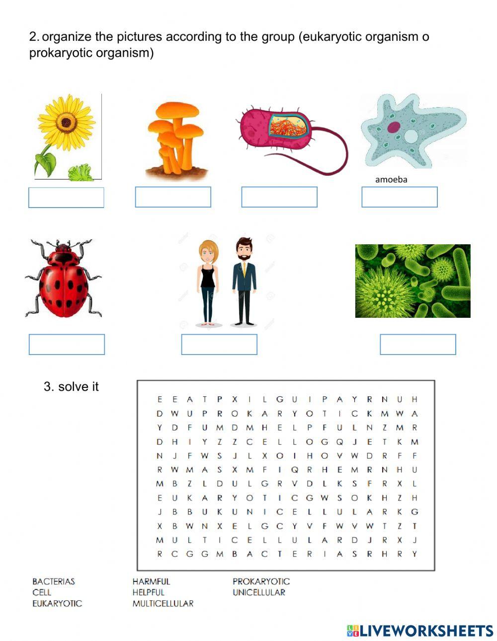 Eukaryotic and prokaryotic organism