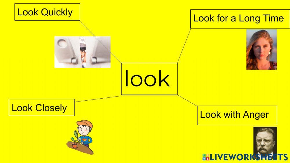 Synonyms for Look