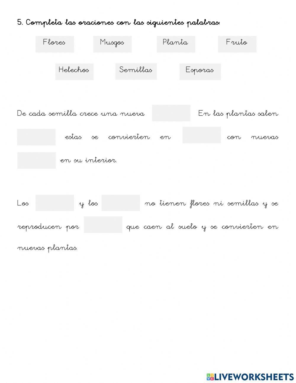 ¡Así son las plantas!