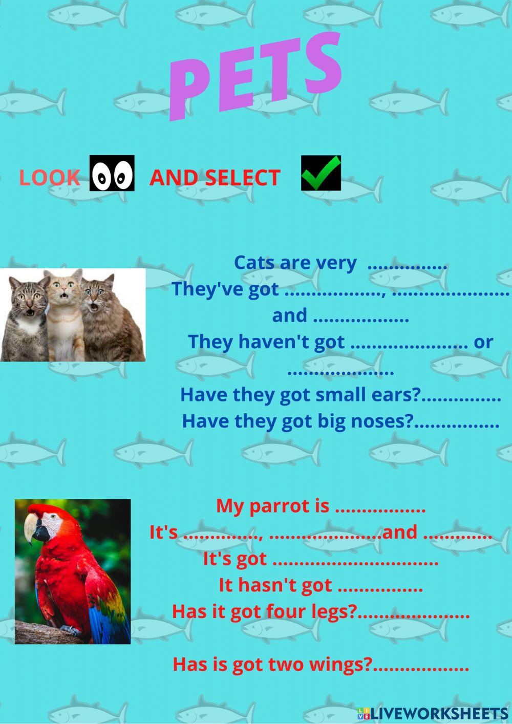 Description of pets