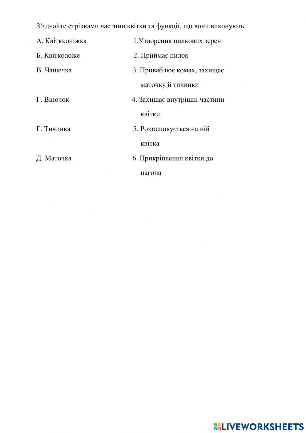 Будова квітки