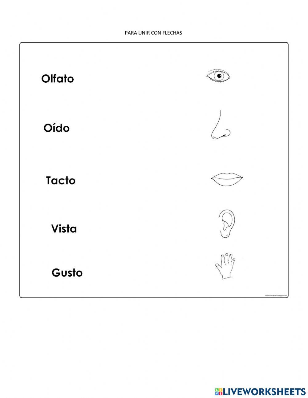 Sílabas, partes del cuerpo