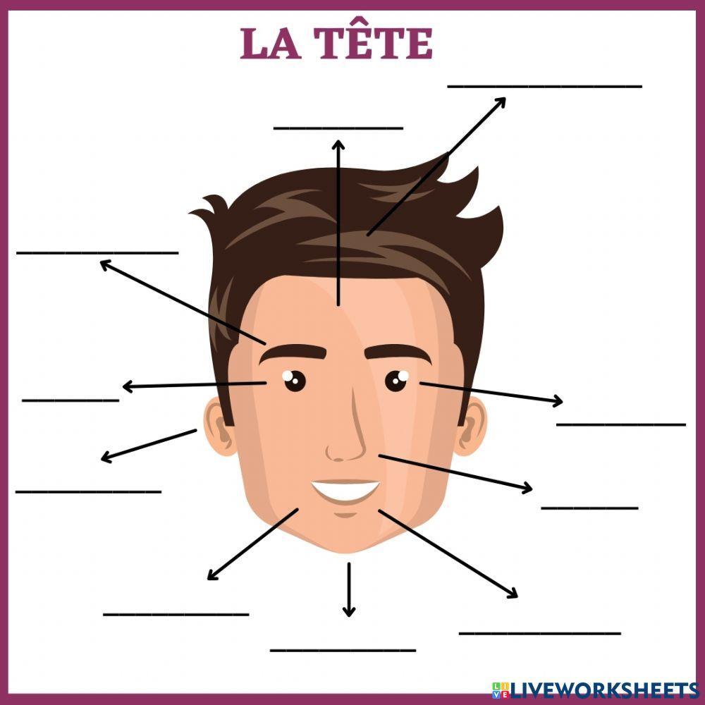 La tête interactive worksheet | Live Worksheets