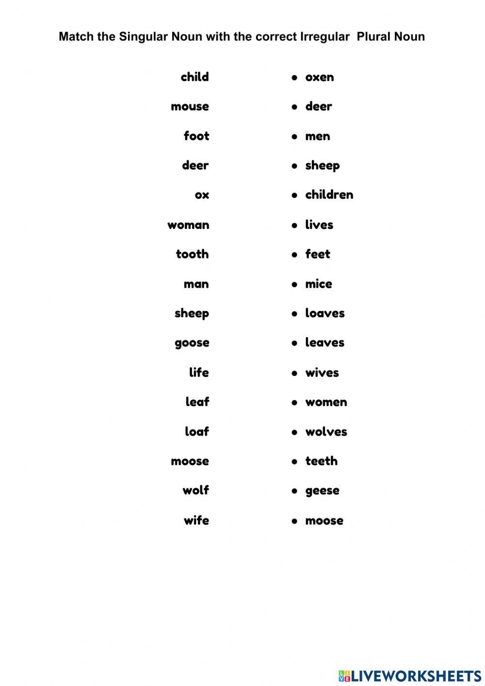 Irregular Plural Noun- 4Grade
