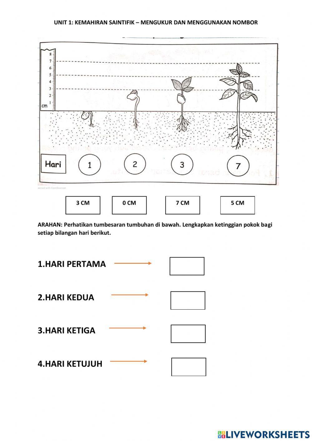 T2 Kemahiran Saintifik - Mengukur