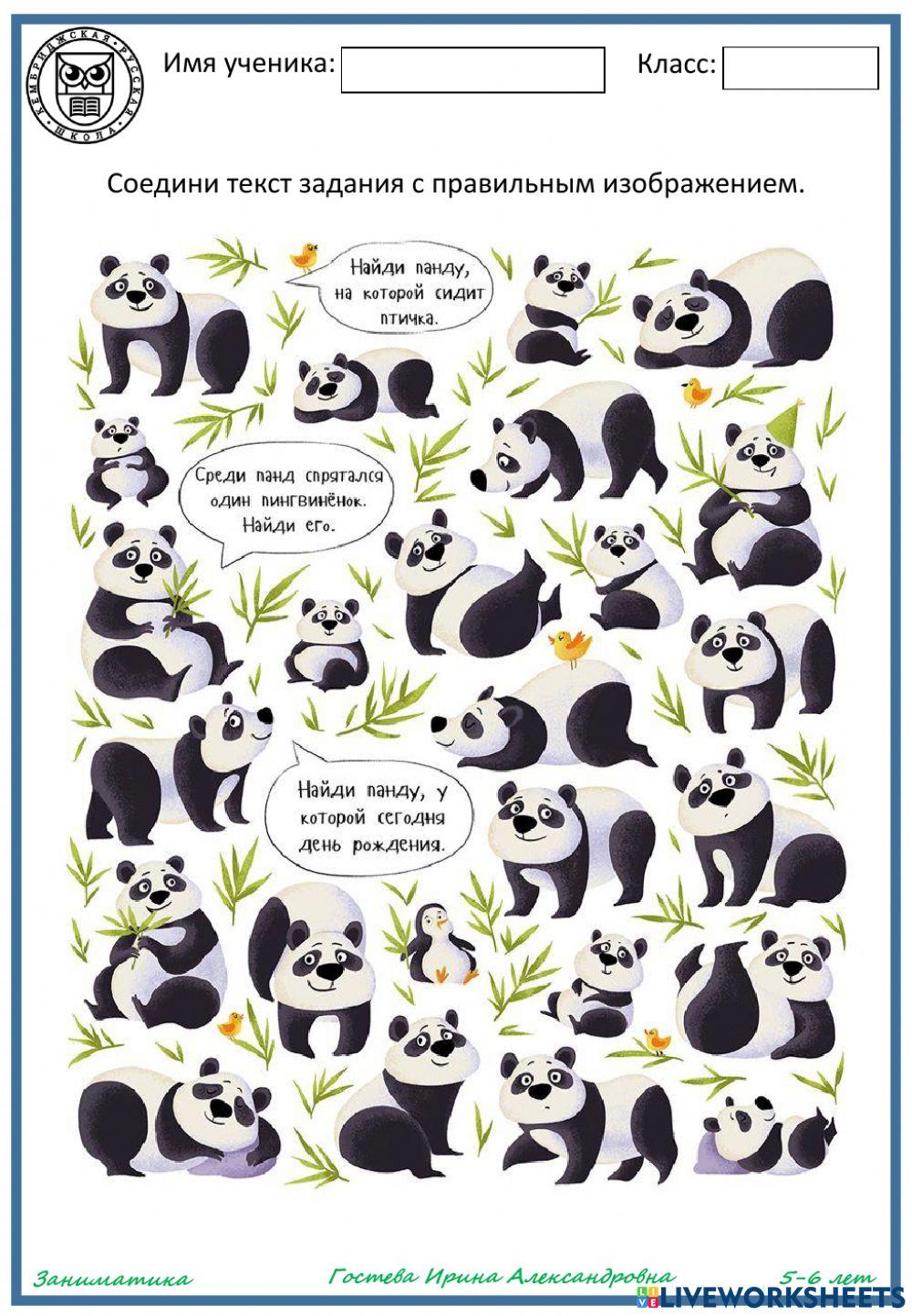 Весёлые панды