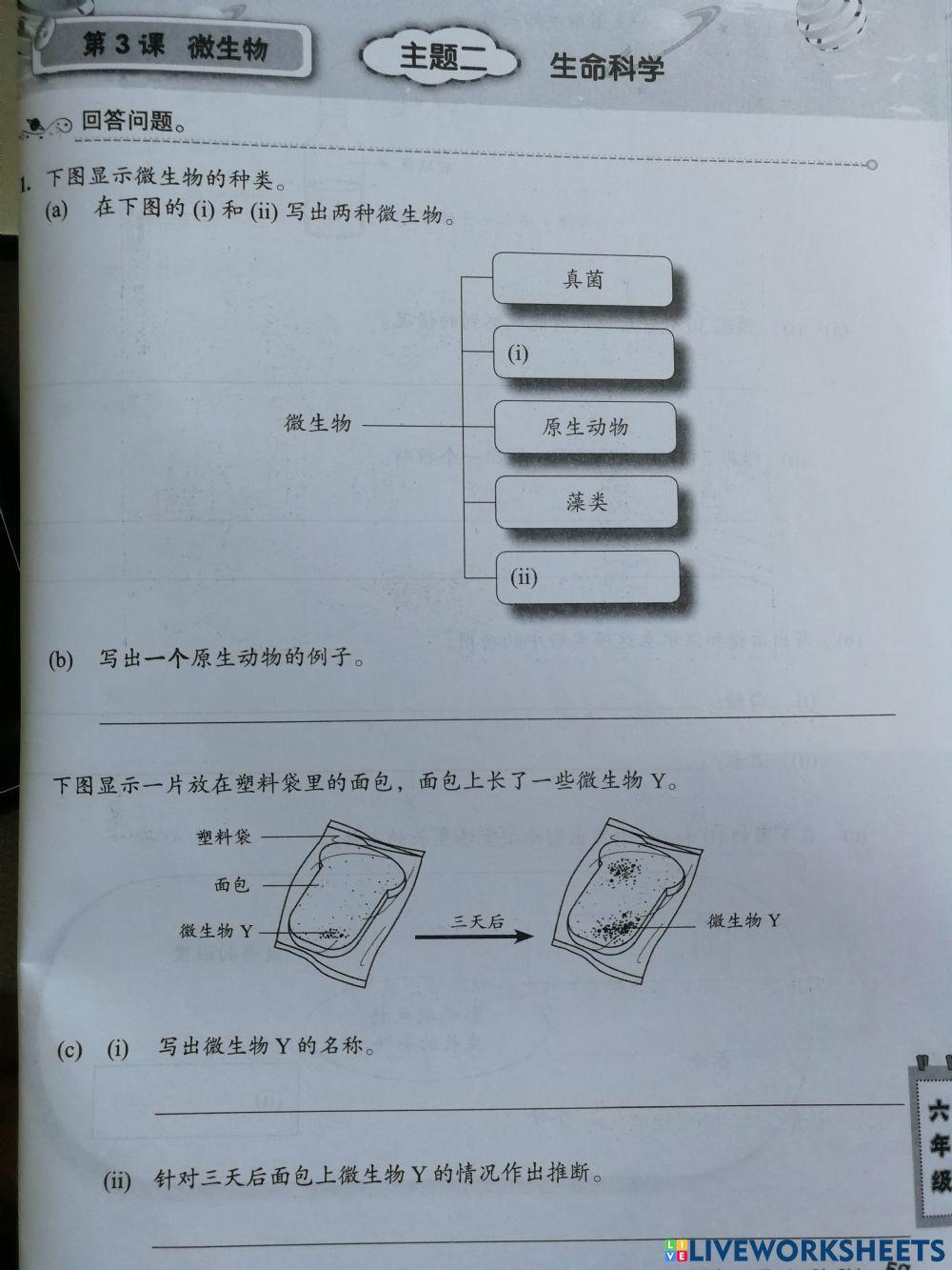 原核生物与真核生物:关键的不同点是什么?|技188金宝搏备用术网络- 188bet金宝搏手机网页,188金宝搏备用, image size:1000x1333
