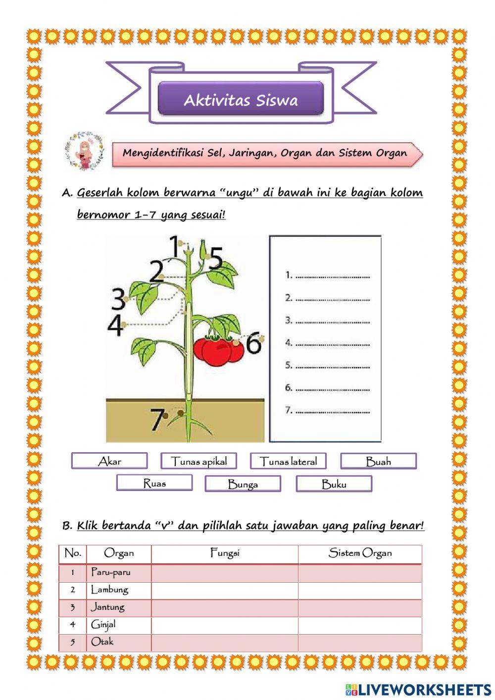 Identifikasi sel, jaringan, organ dan sistem organ