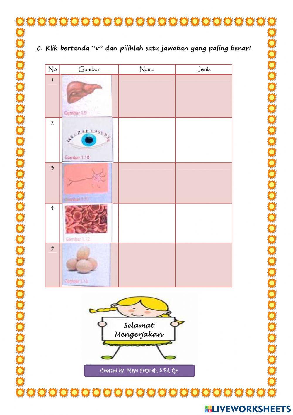 Identifikasi sel, jaringan, organ dan sistem organ