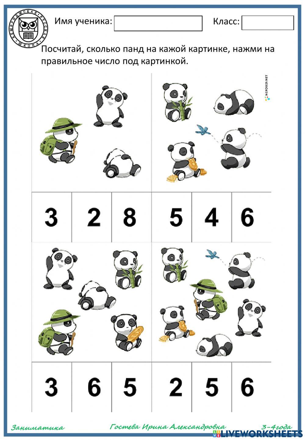 Считаем вместе с пандами