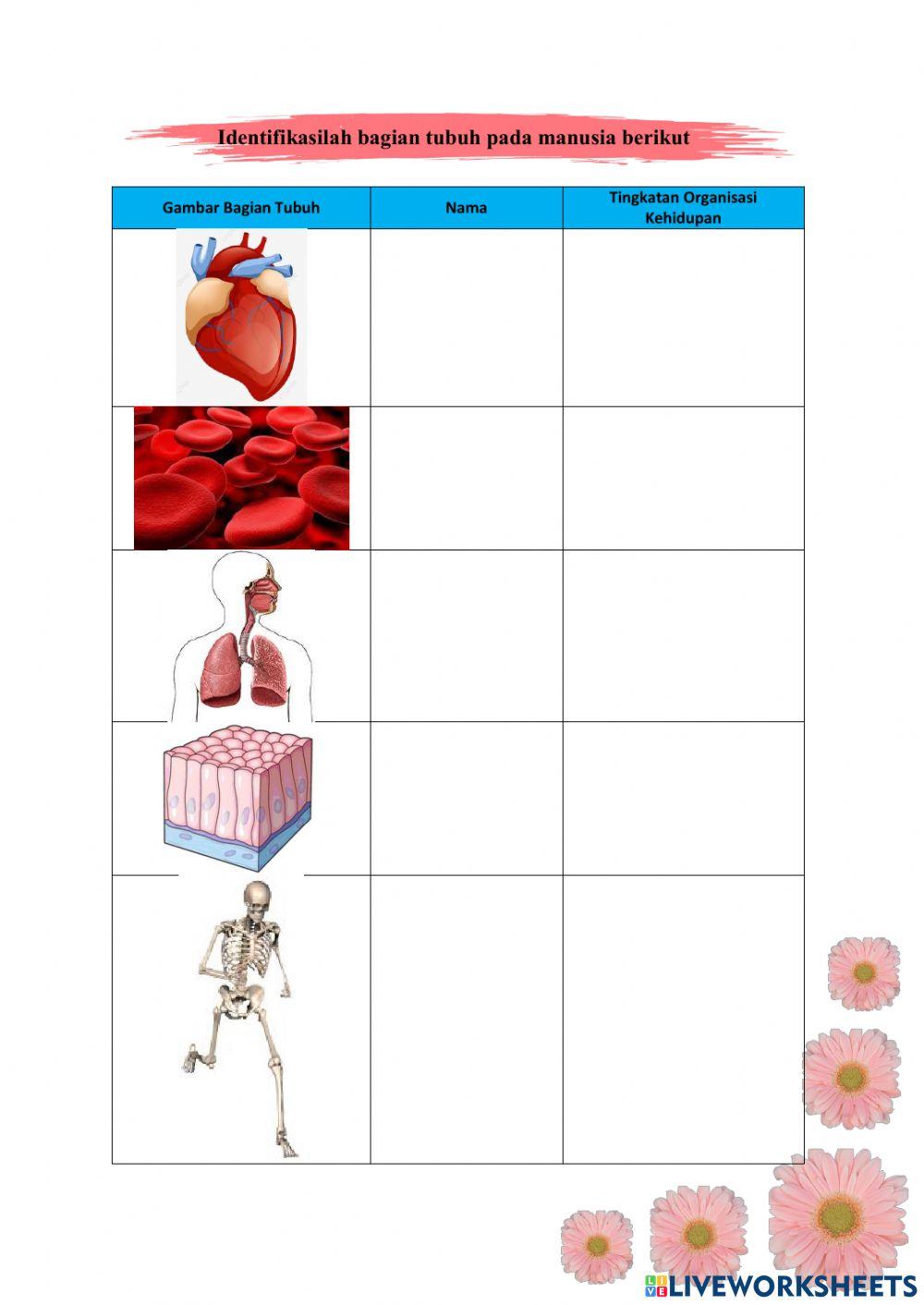 Ipa kelas 7 semester 2 minggu 4