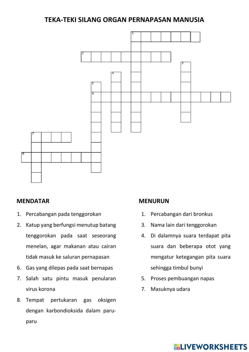 Organ Pernapasan Manusia