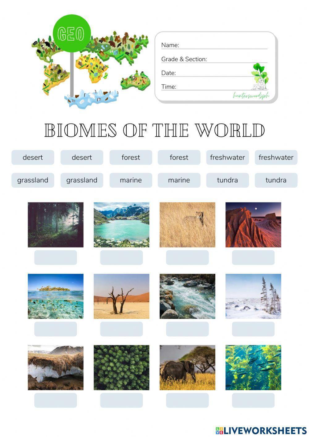 Montessori Geography: Biome Identification (HuntersWoodsPH)