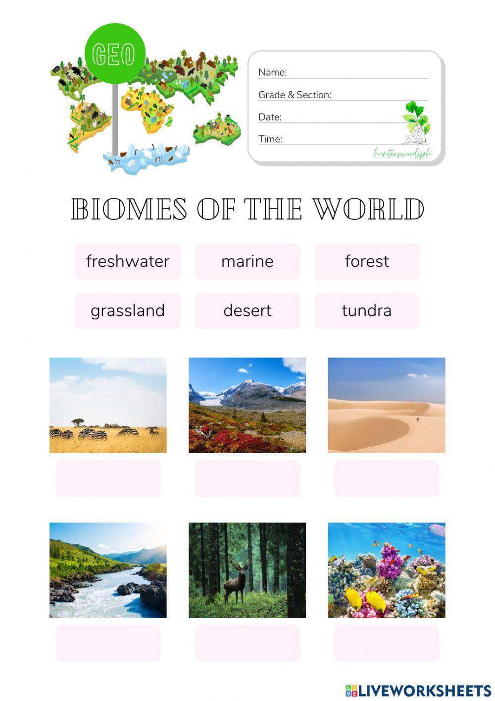 6 Major Biomes Worksheet (Matching) (HuntersWoodsPH)