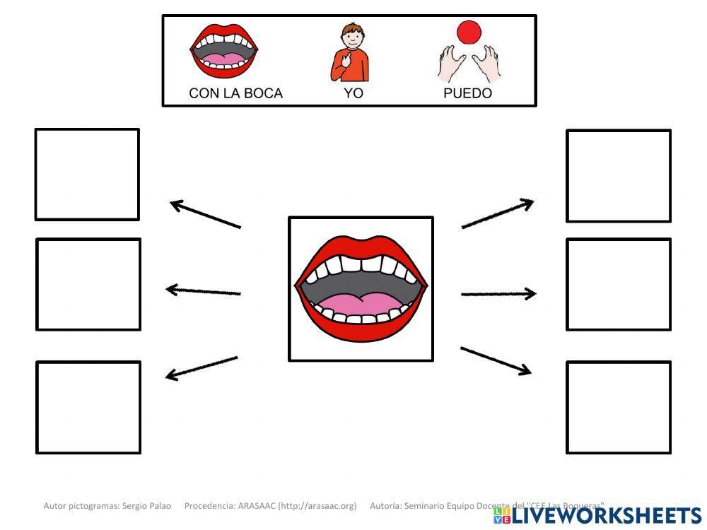 Material Teacch utilidades de la boca