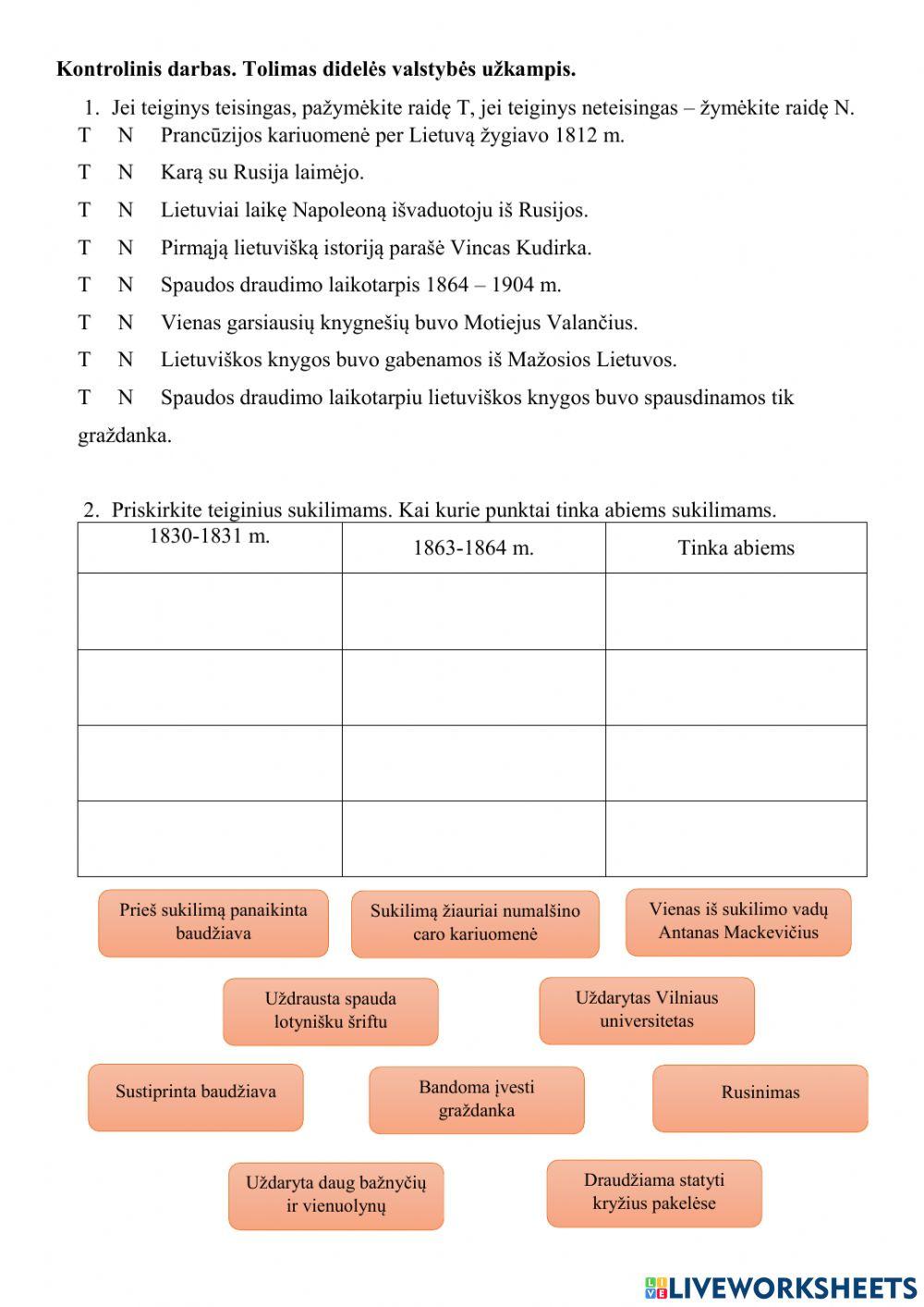 Kontrolinis darbas. Tolimas didelės valstybės kraštas