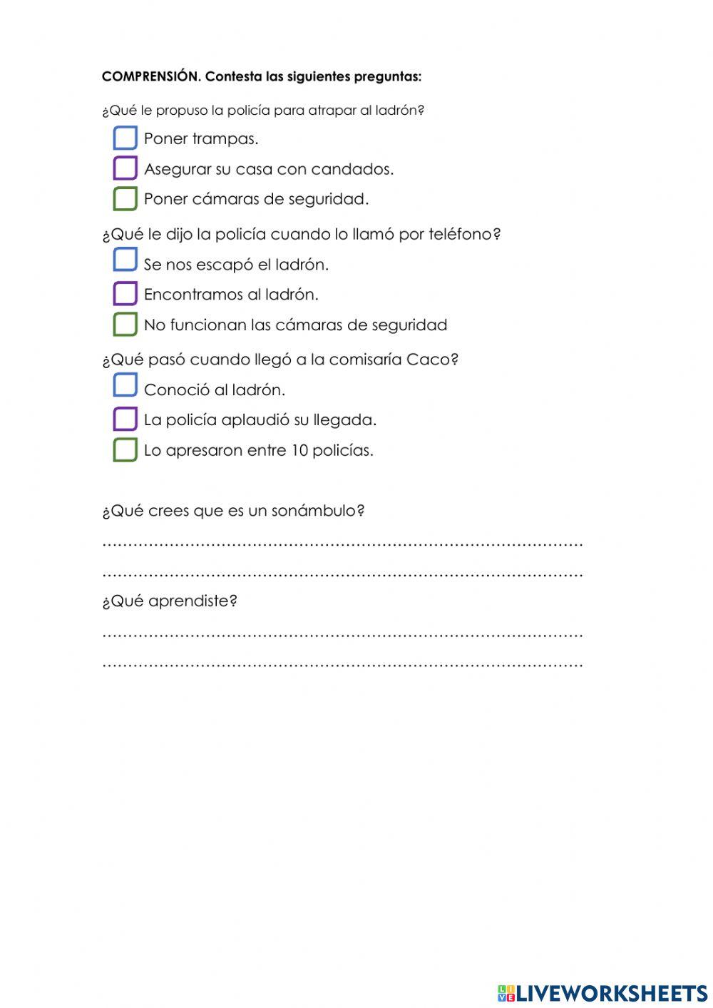 El misterioso ladrón