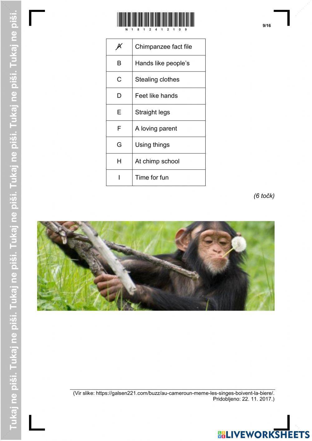 Npz 6. R 2018 READING COMPREHENSION PART 2